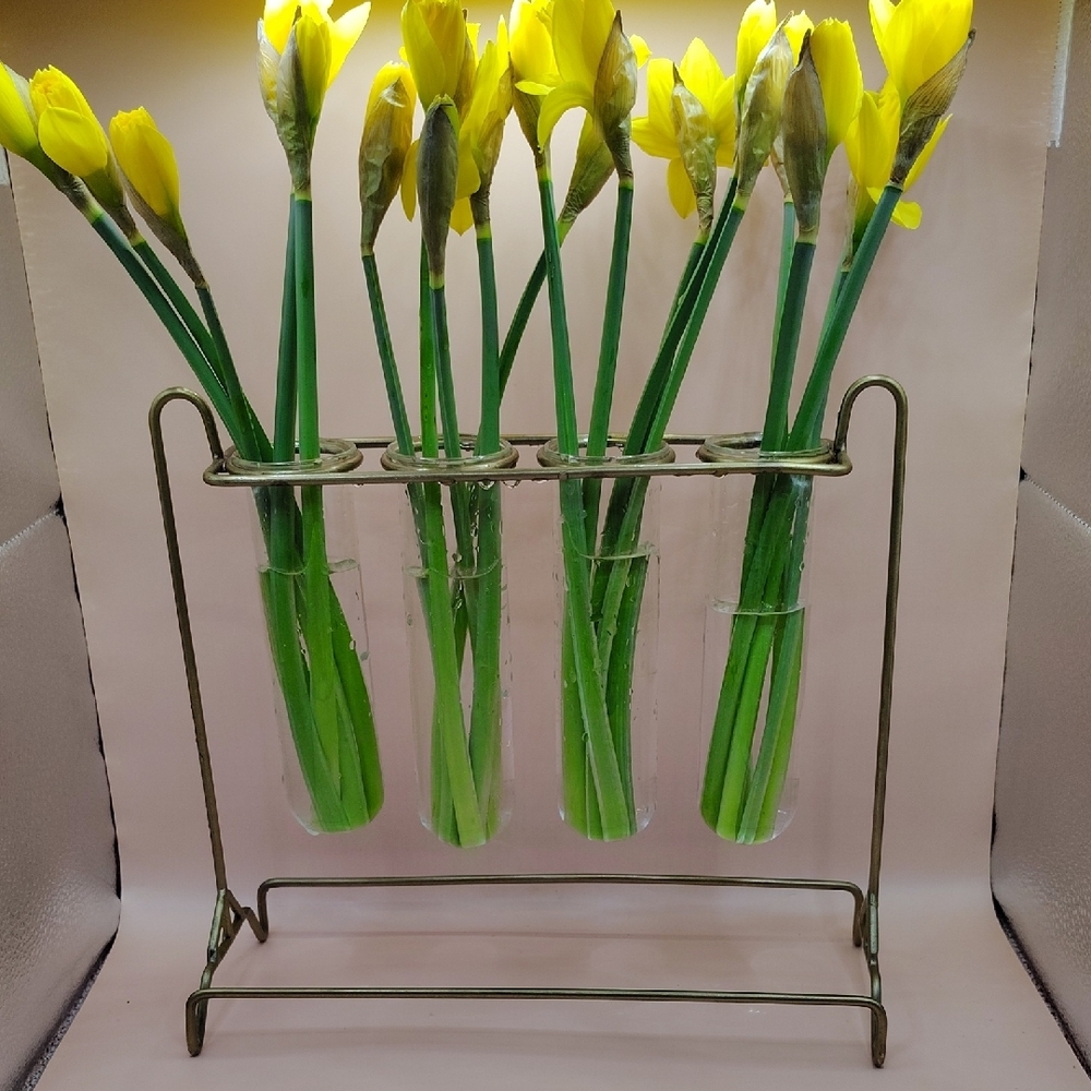 Vintage Glass And Gold Metal 4 Tube Plant Propagation Station